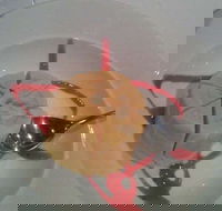 Indian Garden Restaurant - Accommodation Mermaid Beach