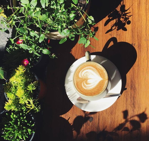 The Hideout Coffee House - Accommodation Mermaid Beach 0