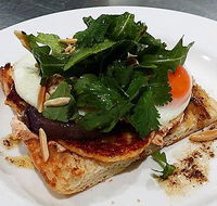 The Teal Turtle Cafe - Accommodation Mermaid Beach