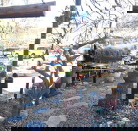 The Terrace Thai - Accommodation Mermaid Beach