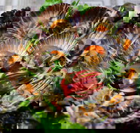 Anam Restaurant - Accommodation Mermaid Beach