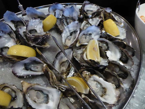 View 42o - Accommodation Mermaid Beach 0