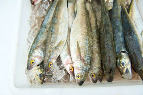 Peninsula Fresh Seafood - Accommodation Mermaid Beach 2