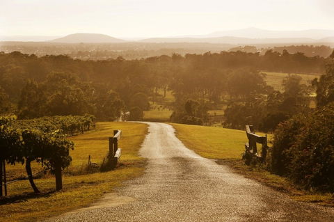 Petersons Wines - Accommodation Mermaid Beach 0