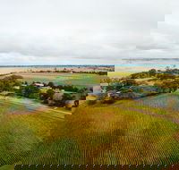 Pettavel Wines - Accommodation Mermaid Beach