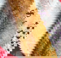 Jesters - Mirrabooka - Accommodation Mermaid Beach