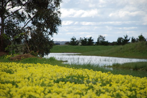 Kisaan Estate Winery - Accommodation Mermaid Beach 2