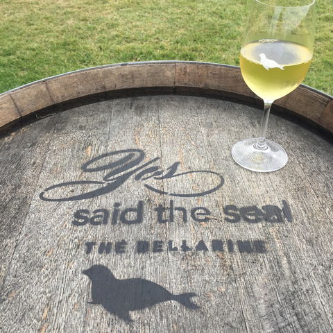 Yes Said The Seal - Accommodation Mermaid Beach 1