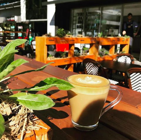 Apothecafe - Accommodation Mermaid Beach 0