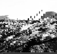 Ballabourneen Wine Co - Accommodation Mermaid Beach