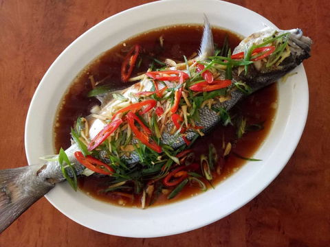 Kuching Corner - Accommodation Mermaid Beach 0