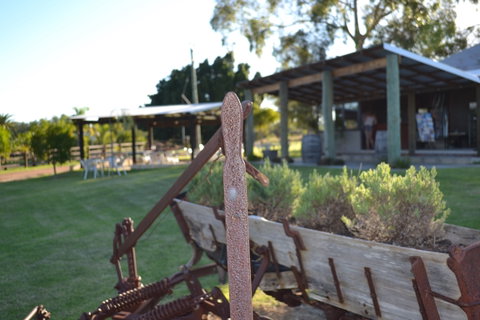 Ugly Duckling Wines - Accommodation Mermaid Beach 0