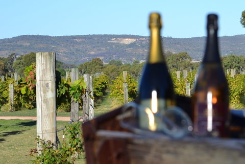 Ugly Duckling Wines - Accommodation Mermaid Beach 1