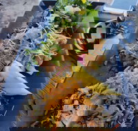 Skal - Accommodation Mermaid Beach