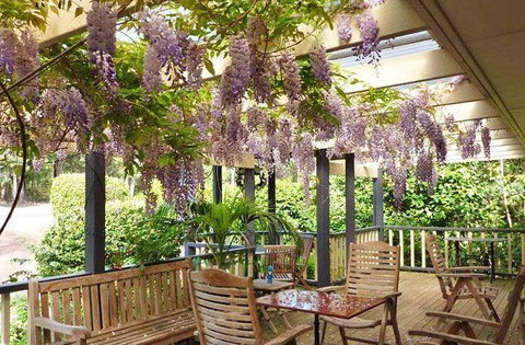 Ruby's Cafe - Accommodation Mermaid Beach 18