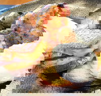 The Peak - Accommodation Mermaid Beach