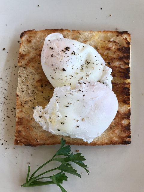 Spendelove Bistro & Bar - Accommodation Mermaid Beach 1