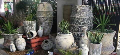 Poppy’s Home & Garden Centre - Accommodation Mermaid Beach 1