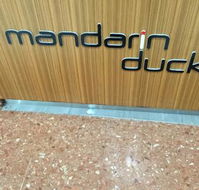 Mandarin Duck - Accommodation Mermaid Beach