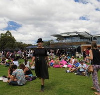 Moorilla - Accommodation Mermaid Beach