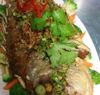 Vanidol's Asian Cuisine - Accommodation Mermaid Beach