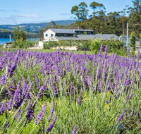 Port Arthur Lavender - Accommodation Mermaid Beach