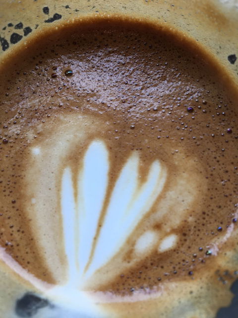 Two Folk Espresso - Accommodation Mermaid Beach 1