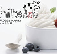 White Cow - Greek Frozen Yogurt Artisan Gelato - Accommodation Mermaid Beach