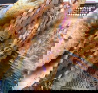 Haynes Bar and Grill - Accommodation Mermaid Beach