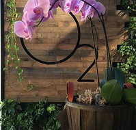 O2 Cafe - Accommodation Mermaid Beach