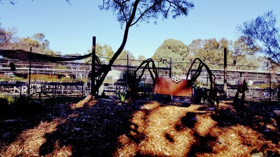 Hazelmere WA Accommodation Mermaid Beach