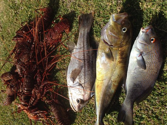 Ledge Point WA Accommodation Mermaid Beach