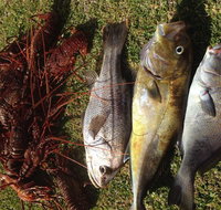 Ledge Point Country Club