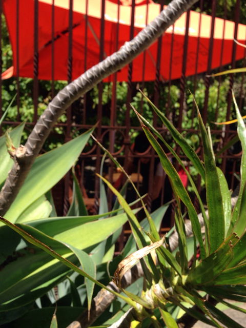 Soul Vine Cafe - Accommodation Mermaid Beach 5