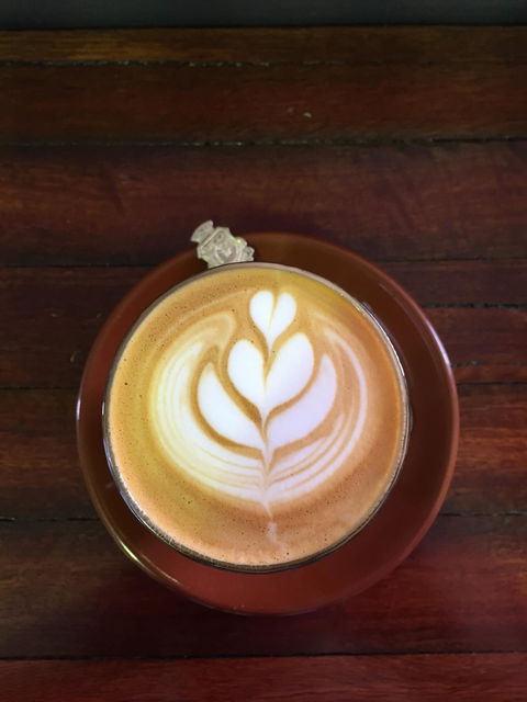 DeGroot Coffee Co - Accommodation Mermaid Beach 9