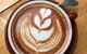 DeGroot Coffee Co - thumb 10
