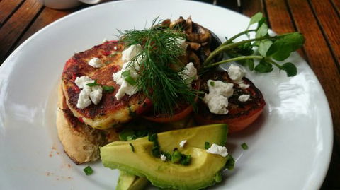 Green Turtle Cafe & Bar - Accommodation Mermaid Beach 0