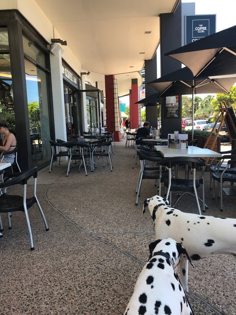 The Coffee Club Coolum Beach - Accommodation Mermaid Beach 2