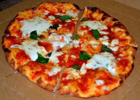 The Lounging Emu - Accommodation Mermaid Beach 0