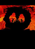 The Lounging Emu - Accommodation Mermaid Beach 1