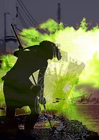 The Lounging Emu - Accommodation Mermaid Beach 6