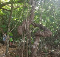 Foxy's Bar - Accommodation Mermaid Beach
