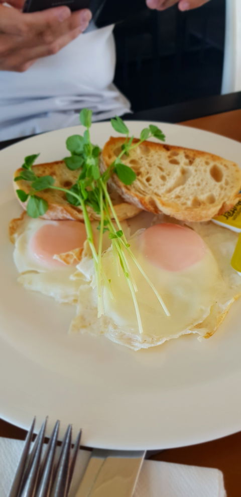 Migaloo's Cafe - Accommodation Mermaid Beach 1