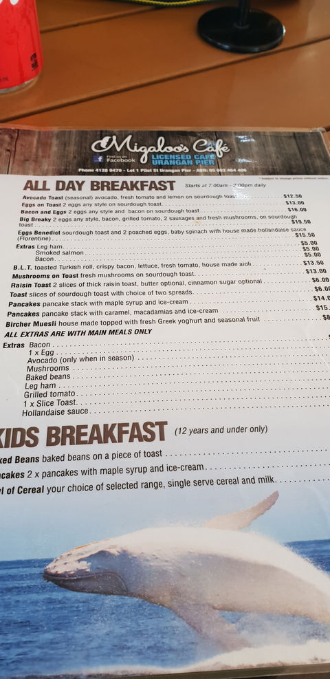 Migaloo's Cafe - Accommodation Mermaid Beach 3