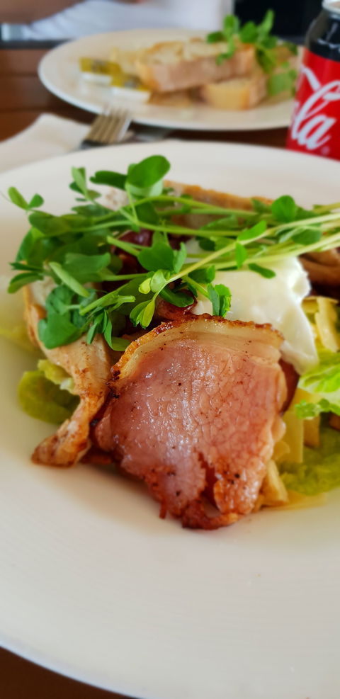 Migaloo's Cafe - Accommodation Mermaid Beach 6