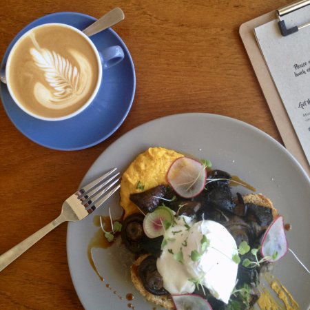 Wild Plum Kitchen - Accommodation Mermaid Beach 0