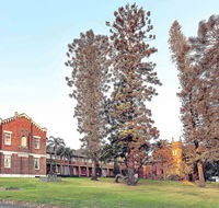 Mercure Monte Pio Hotel  Conference Ctr - Accommodation Mermaid Beach