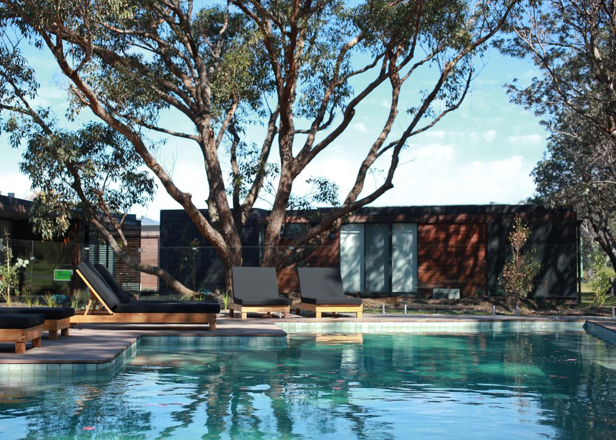 Back Forest NSW Accommodation Mermaid Beach