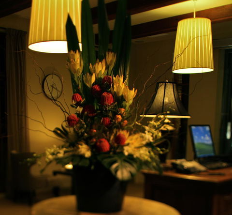 De Russie Boutique Hotel - Accommodation Mermaid Beach 26