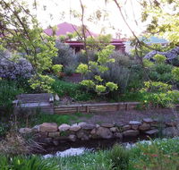 Frog Song at Willunga - Accommodation Mermaid Beach